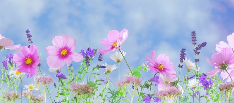 Fantasy Garden 2